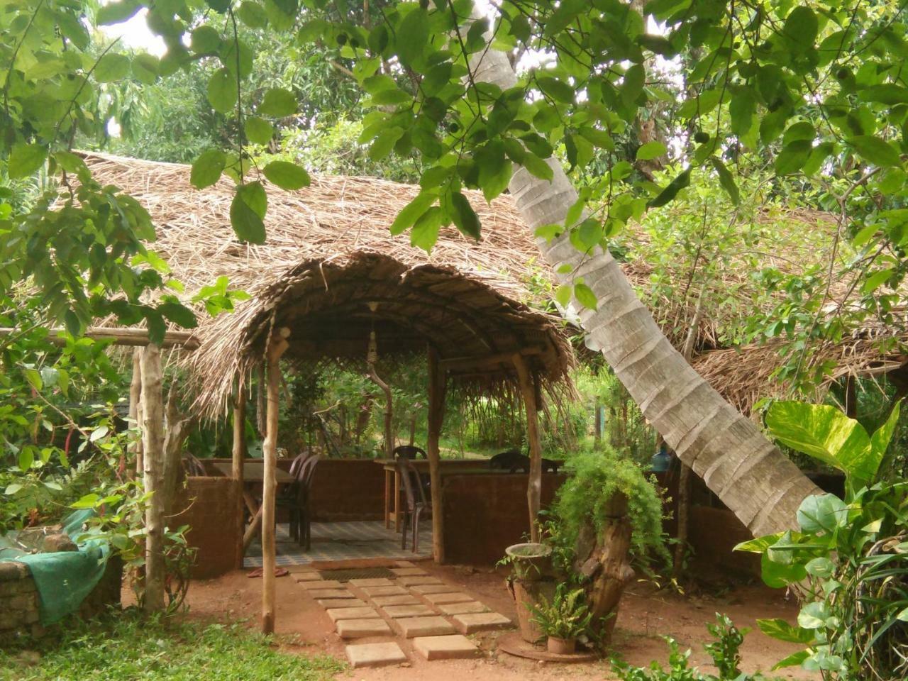 Gimanhala Cottage & Cookary Class Anuradhapura Bagian luar foto